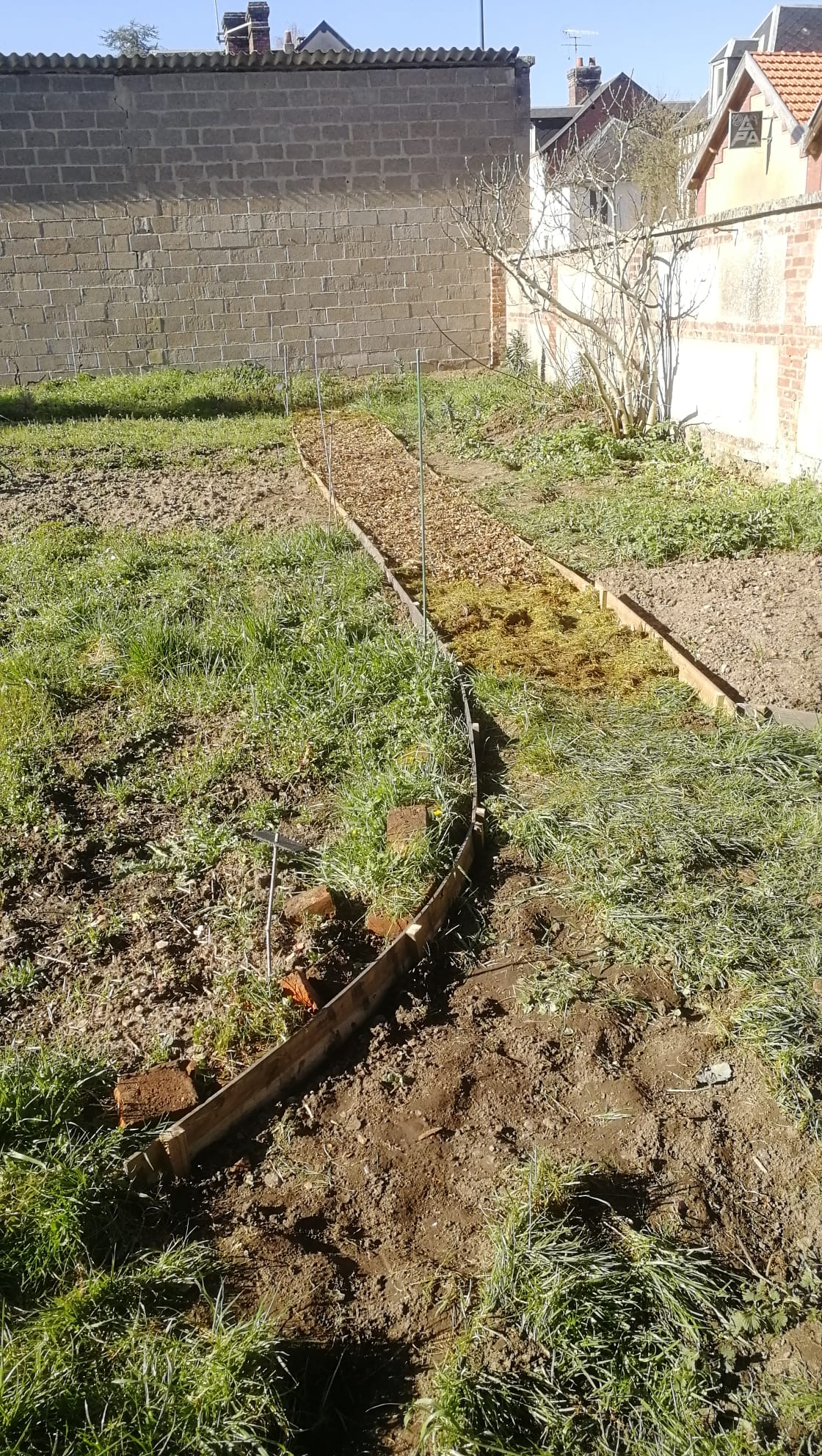 Nouvelle allée dans les jardins partagés du Presbytère